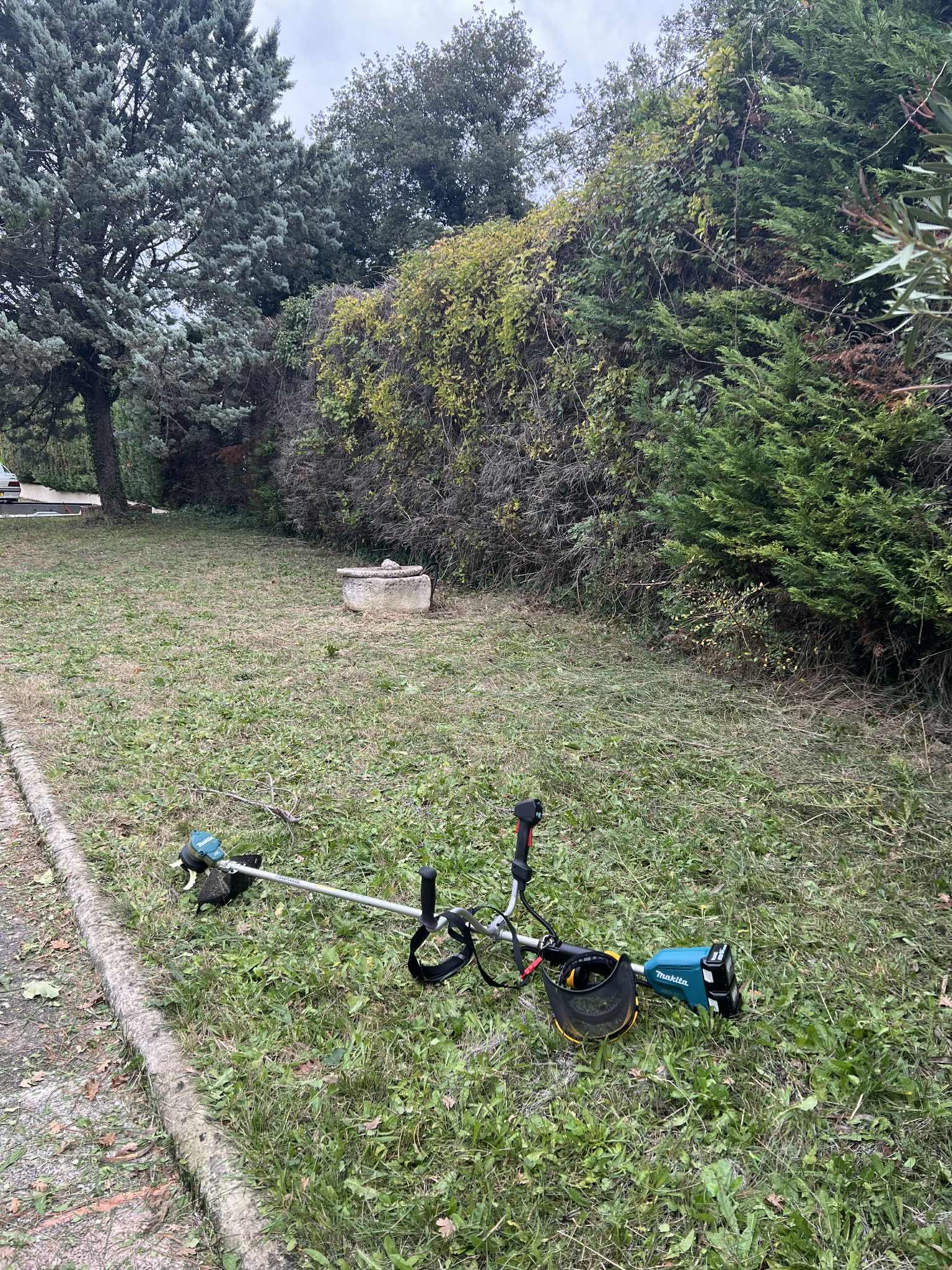 débroussaillage vaucluse débroussaillage